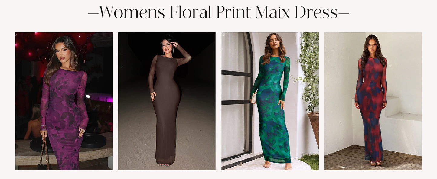 REORIA Sheer Long Dress